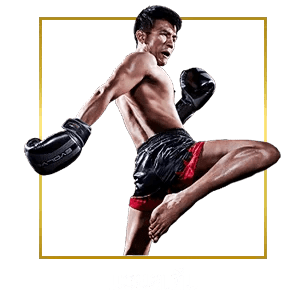 boxing-ufa100